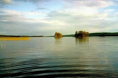 Янгозеро