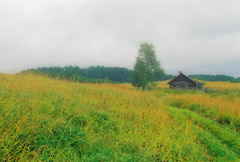 Кенозерский национальный парк. Деревня Гужево