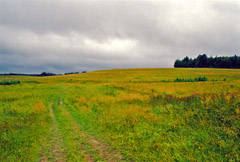 Кенозерский национальный парк. 