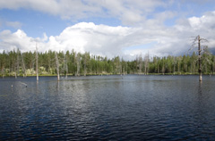 Окресности озера Кайналайнен. Ламбушка