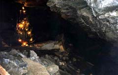 Елка в пещере живет и не осыпается по 4-5 лет
